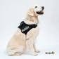 SafeWalk™ Personalized Anti-Choke Dog Harness