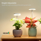 Halo™ Lights for Indoor Plants