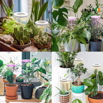 Halo™ Lights for Indoor Plants