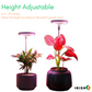 Halo™ Lights for Indoor Plants