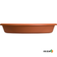 PLANTERPLATE Classic Plant Saucer for Pots