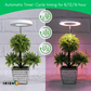 Halo™ Lights for Indoor Plants