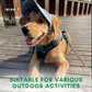 FURSHADE Outdoor Sun Protection for Dogs