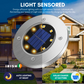 GARDENLED Garden Lighting With Solar Cells