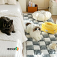 PETCLOUD™ Premium Dog Bed & Couch Cover