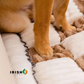 PETCLOUD™ Premium Dog Bed & Couch Cover