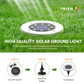 GARDENLED Garden Lighting With Solar Cells