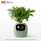 LEAFSENSE Smart Planter