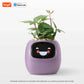 LEAFSENSE Smart Planter