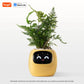 LEAFSENSE Smart Planter